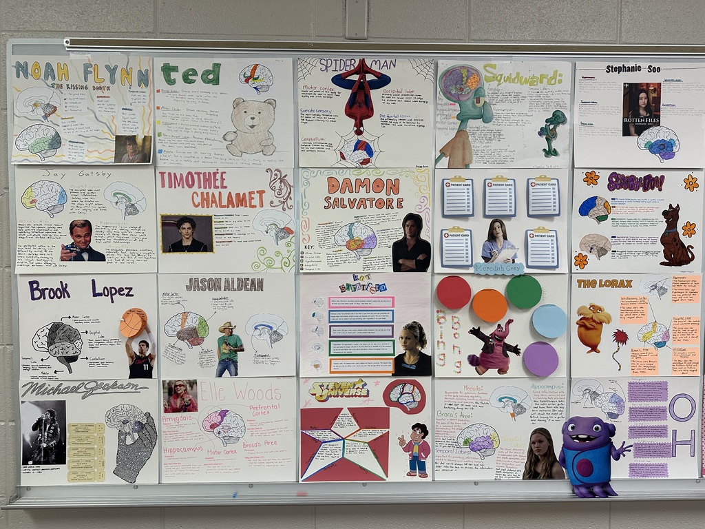 A bulletin board with multiple colorful posters, each featuring names, images, and various illustrations. Each section has a different theme.