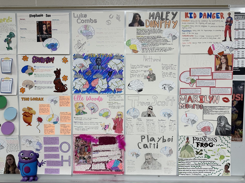 A bulletin board displays various colorful drawings, sketches, and illustrations. Each piece is attached with pins.