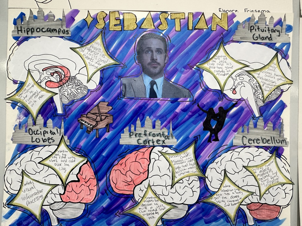 Colorful drawing of a man named Sebastian with various brain parts and body organs labeled.