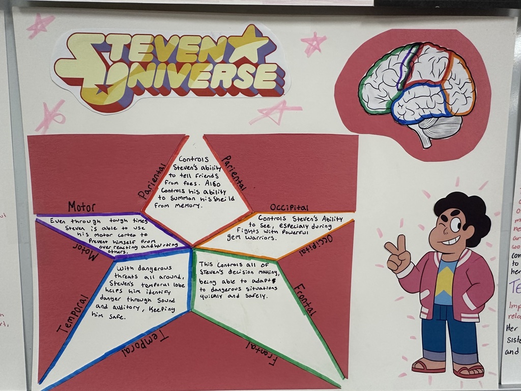A colorful poster features a cartoon character labeled Steven Universe, with a star and a brain above it, surrounded by a hexagon with text.