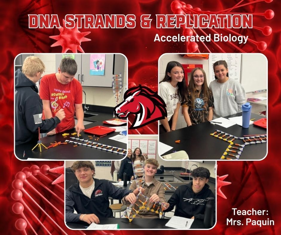 DNA