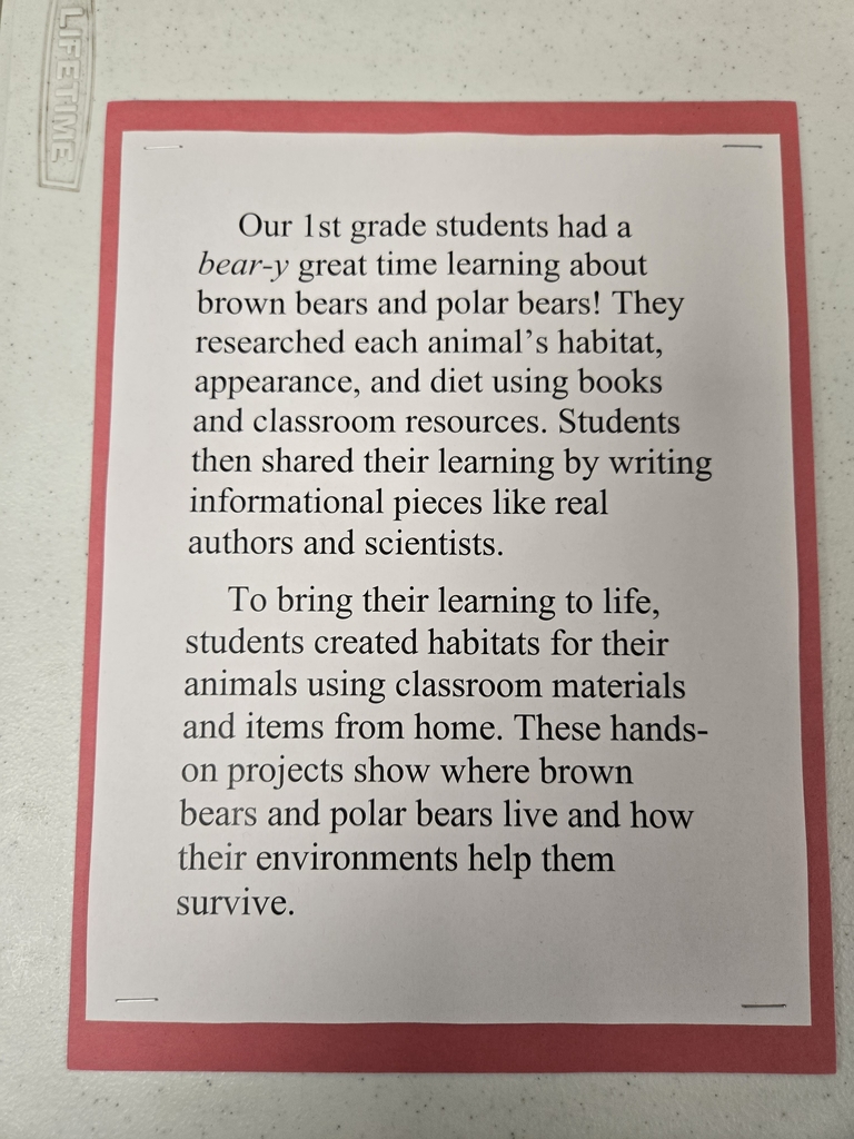 description of project