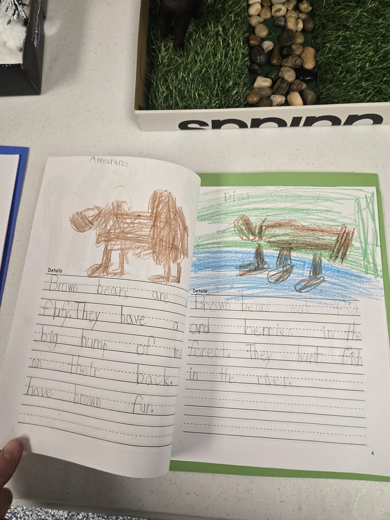 Student Writing sample 2