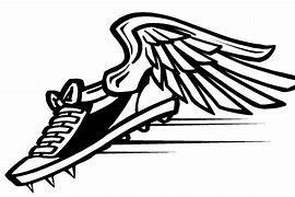 track shoe with wings