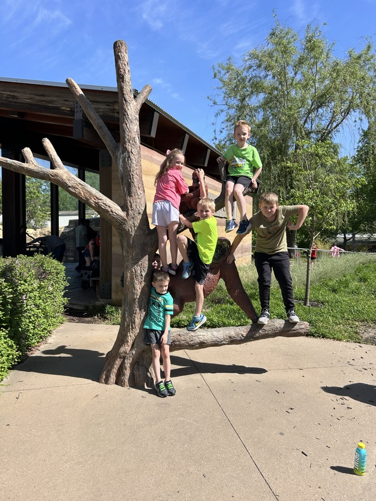 1st Grade enjoyed the Zoo Friday.