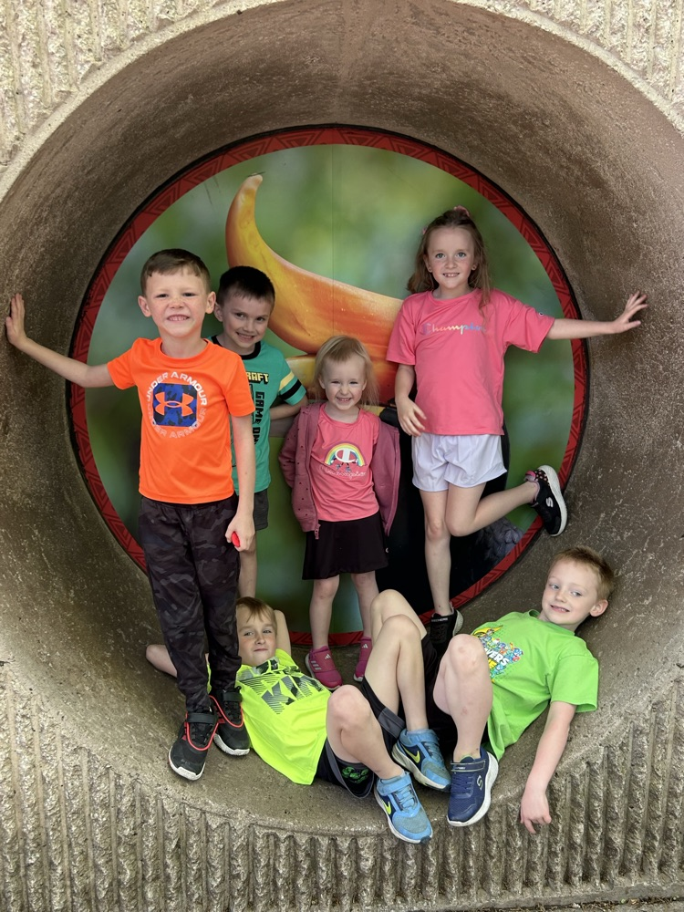 1st Grade enjoyed the Zoo Friday.