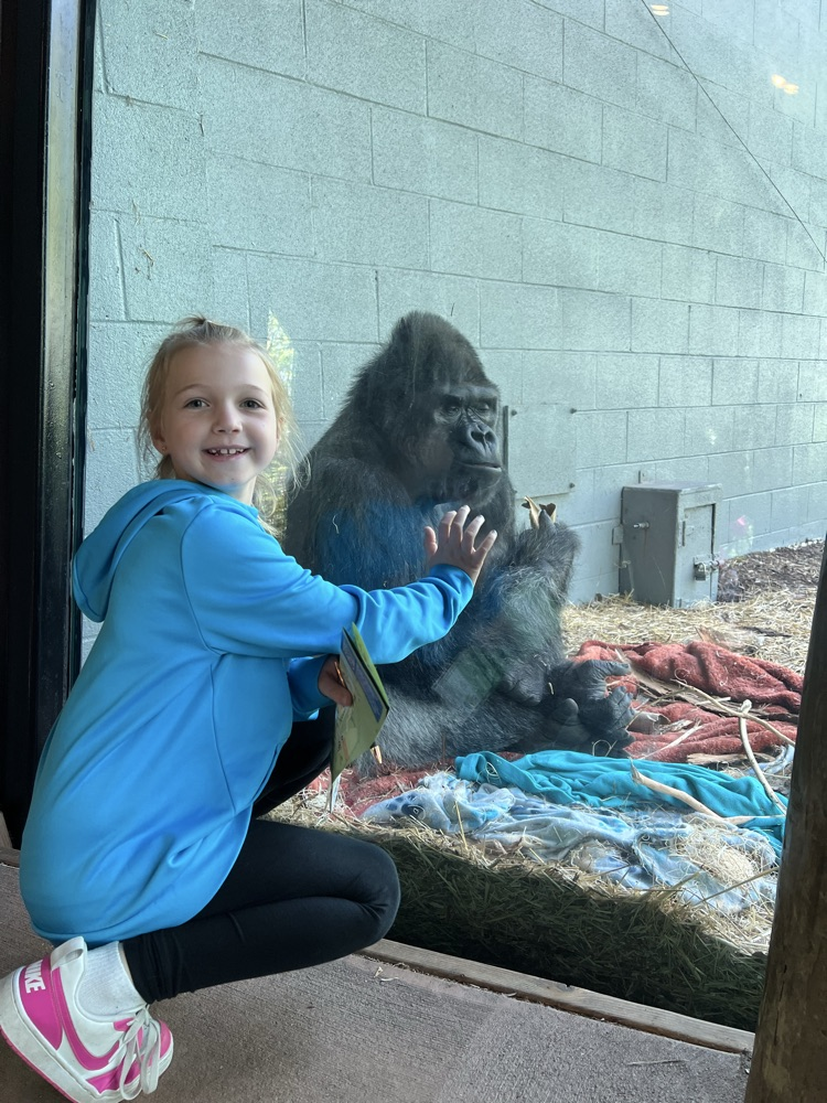 1st Grade enjoyed the Zoo Friday.