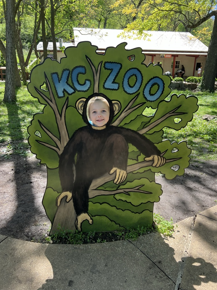 1st Grade enjoyed the Zoo Friday.