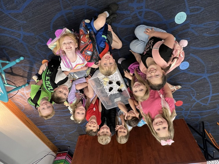 We are enjoying the chicks! 