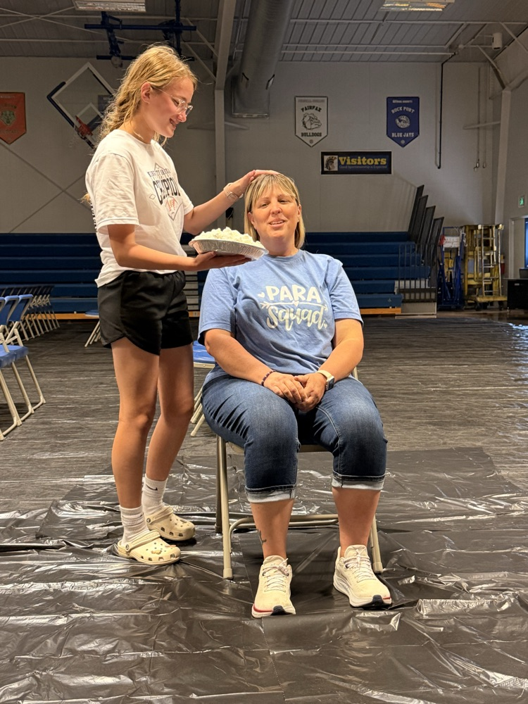 Pie in the Face