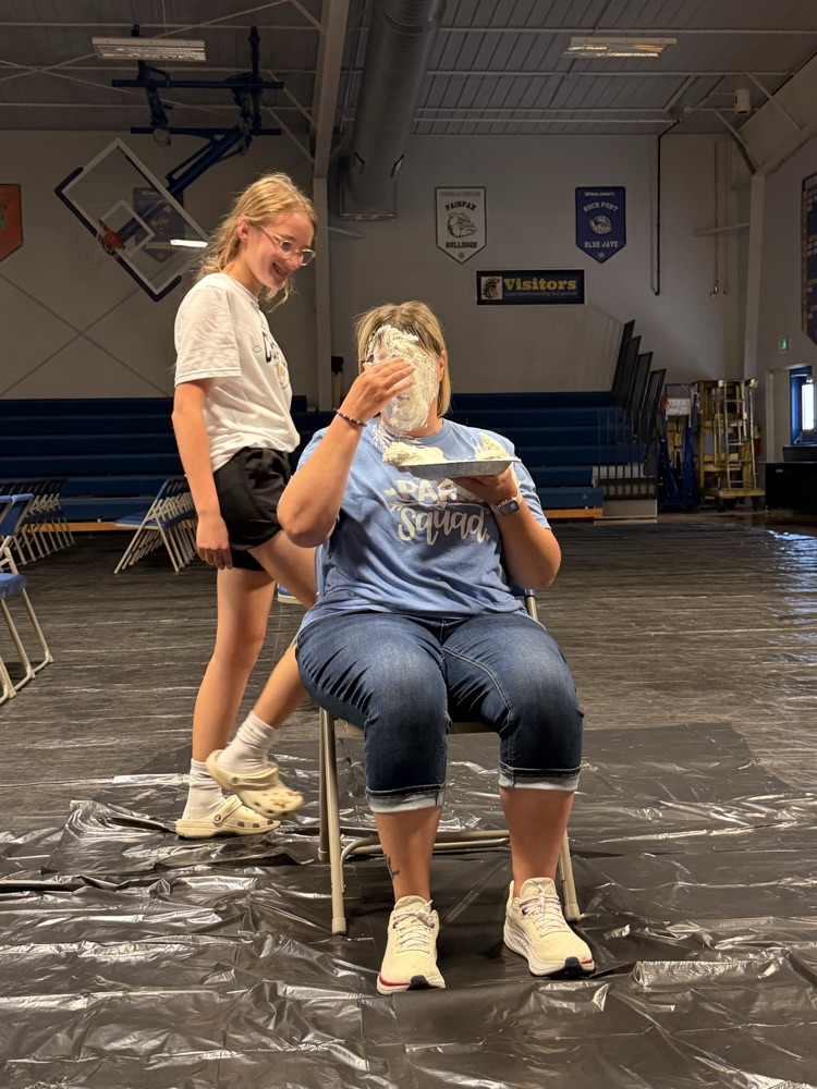 Pie in the Face