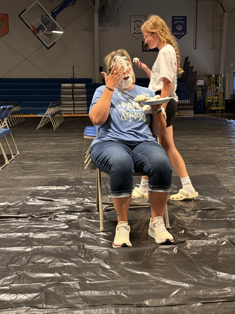 Pie in the Face