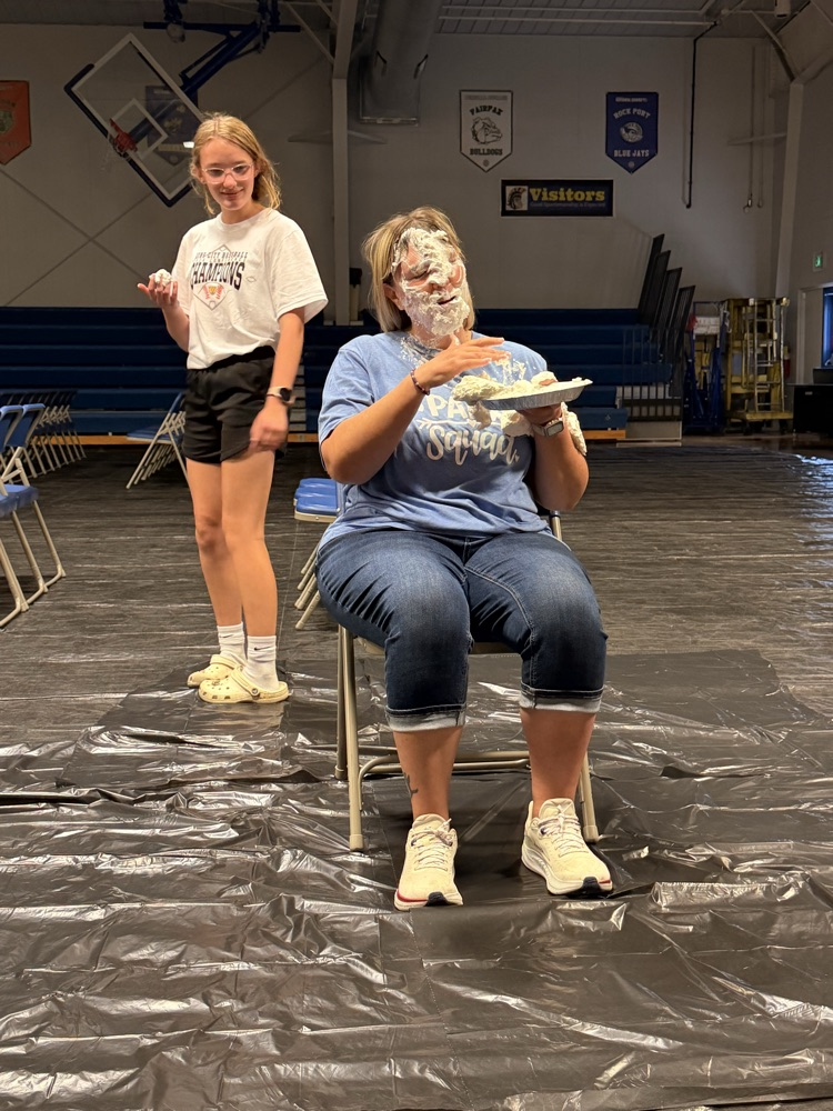 Pie in the Face