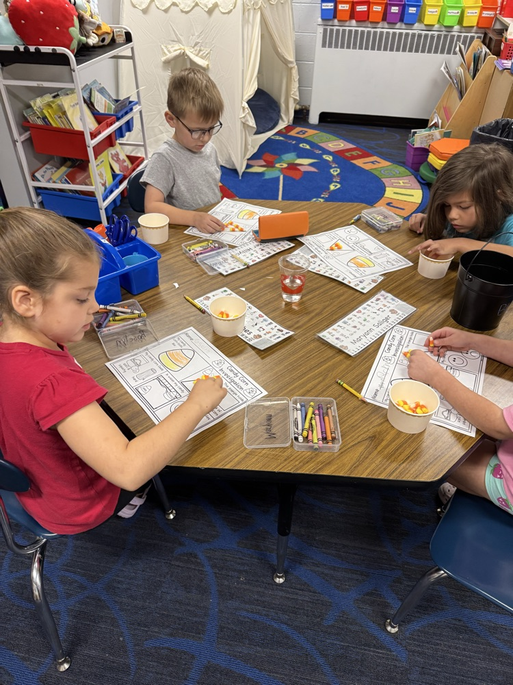 Kindergarten scientific investigation 