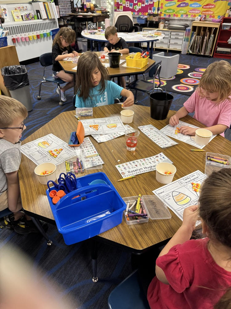Kindergarten scientific investigation 