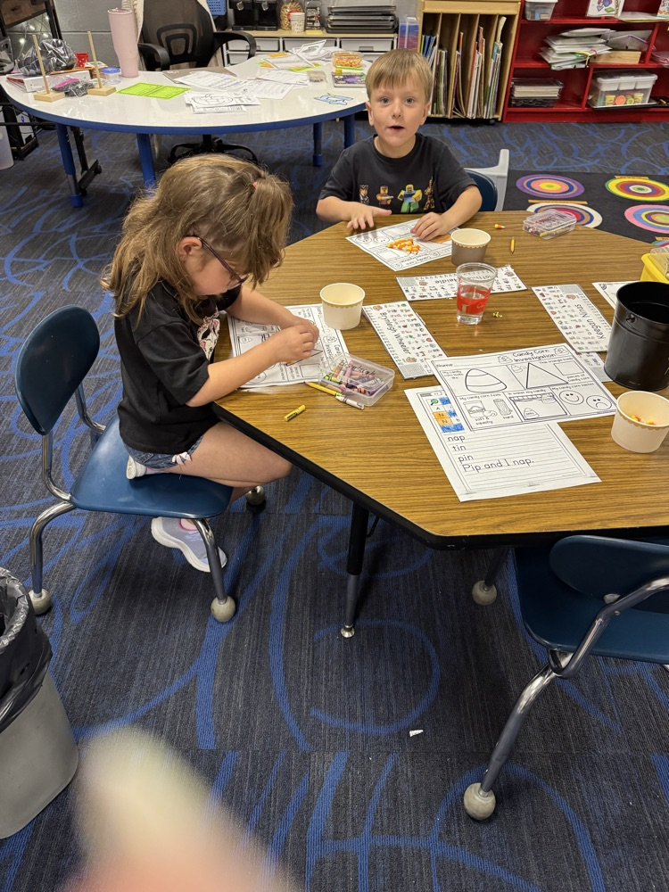 Kindergarten scientific investigation 