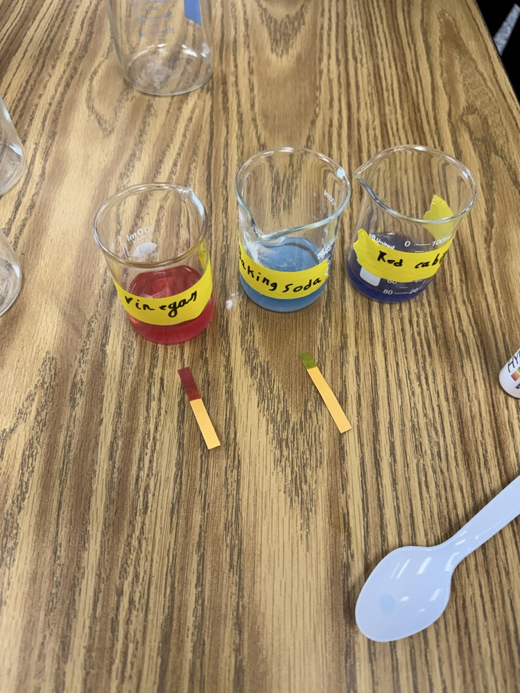 A&P & Pre-Chem learning about PH.