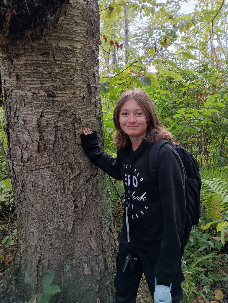 tree