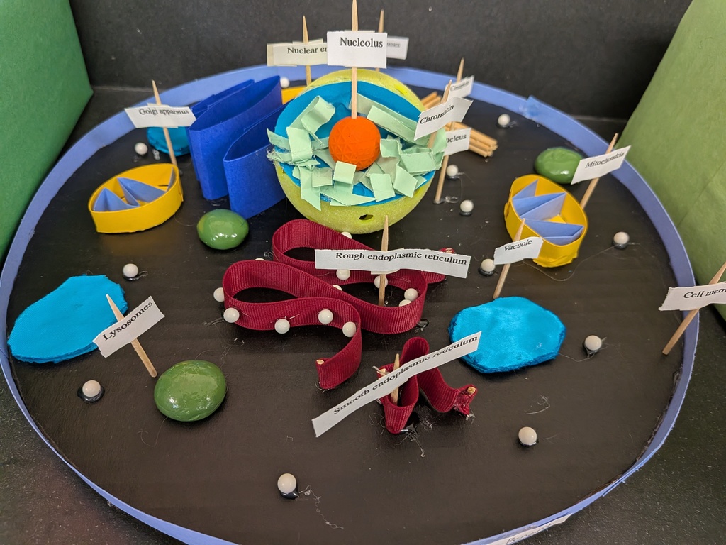 PXL_20251121_170002036