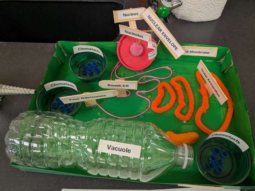 PXL_20251121_165955630