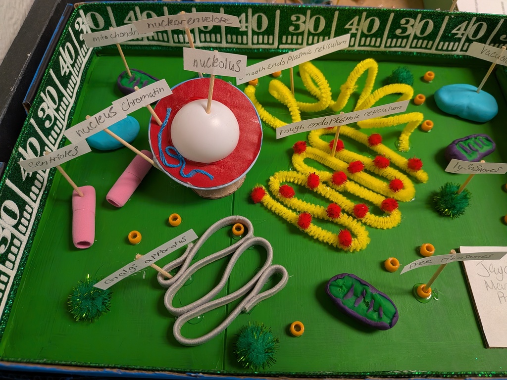 PXL_20251121_165924464