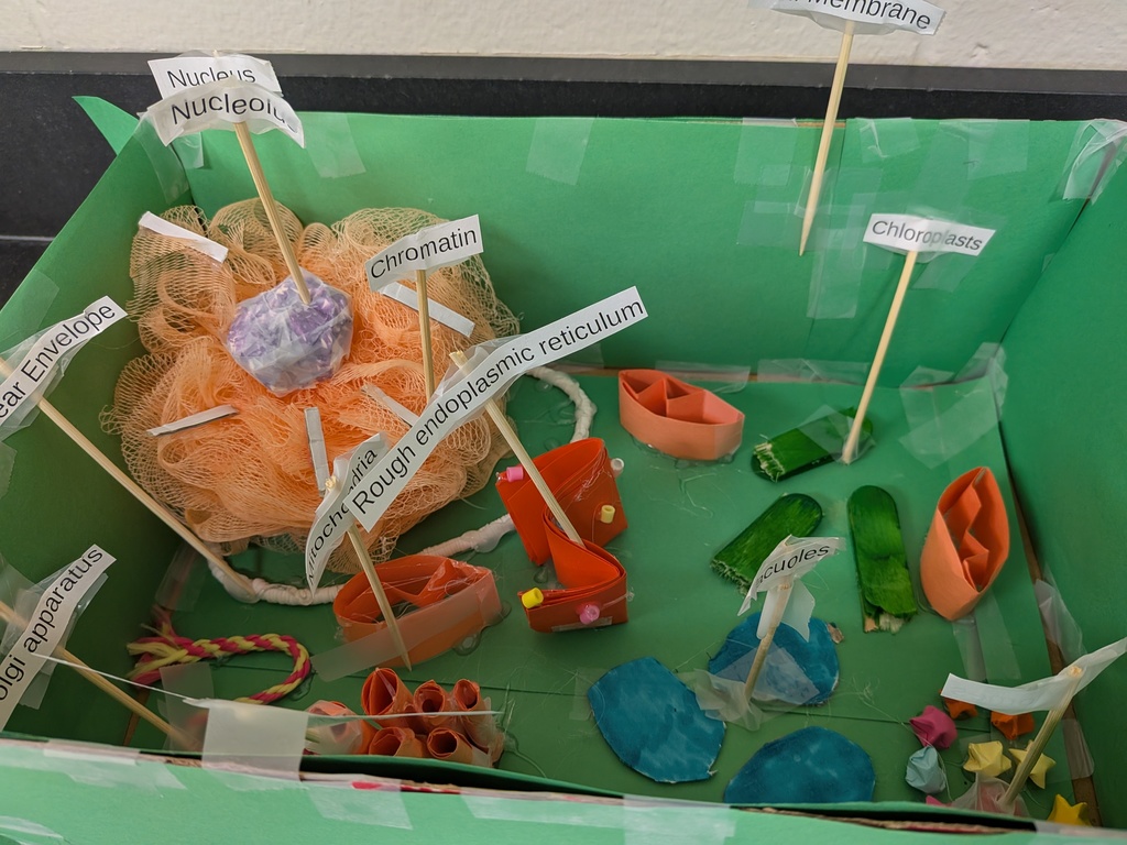 PXL_20251121_165951034