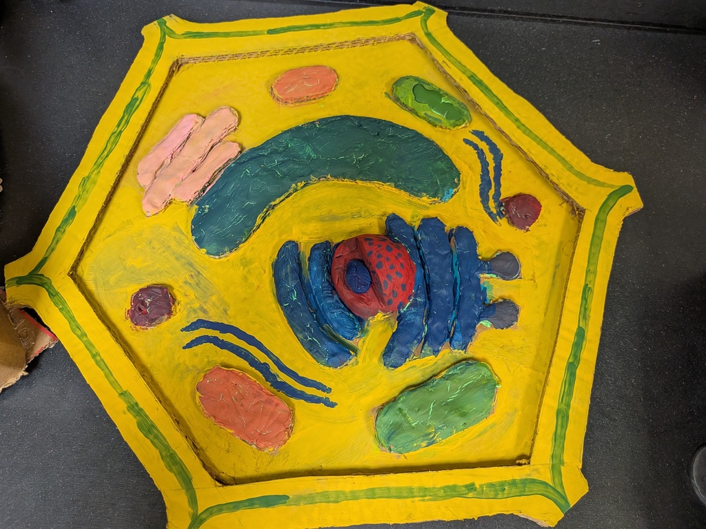 PXL_20251121_165937732