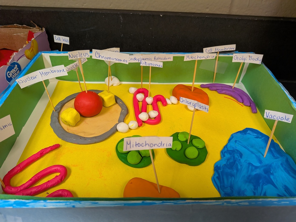 PXL_20251121_170013184