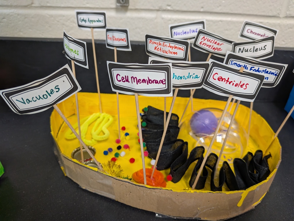 PXL_20251121_165932712