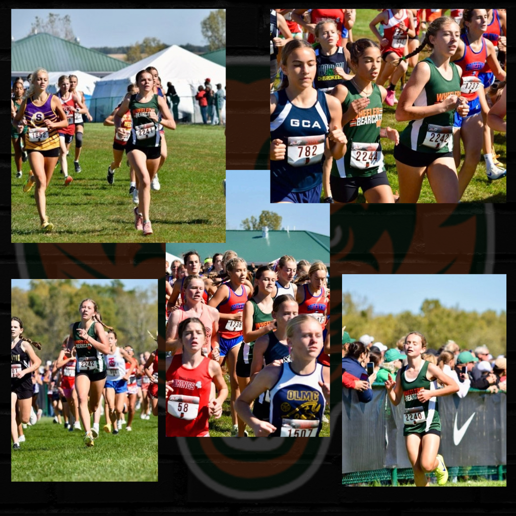 XC