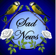 Message from the Superintendent 