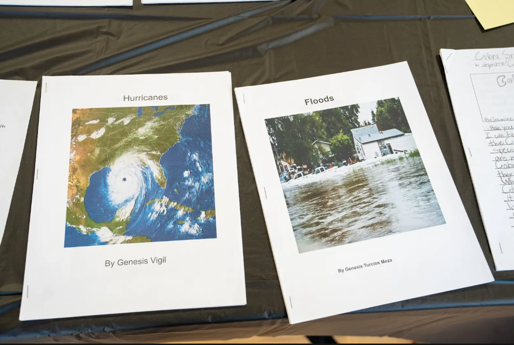 Papers that show hurricane damage