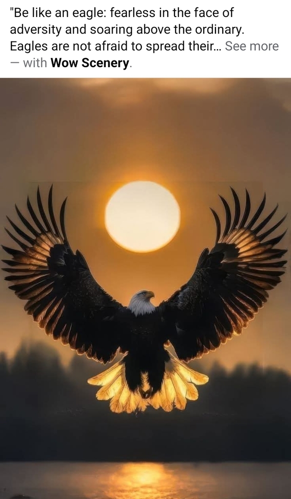 eagle