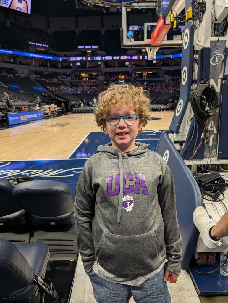 UCA student standing next to the floor at a MN Lynx basketball game