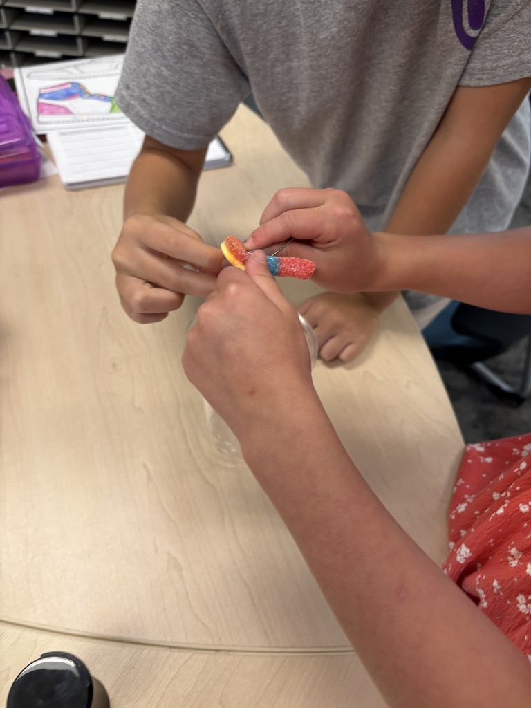 3rd grade students working on a project to strengthen problem solving skills and teamwork