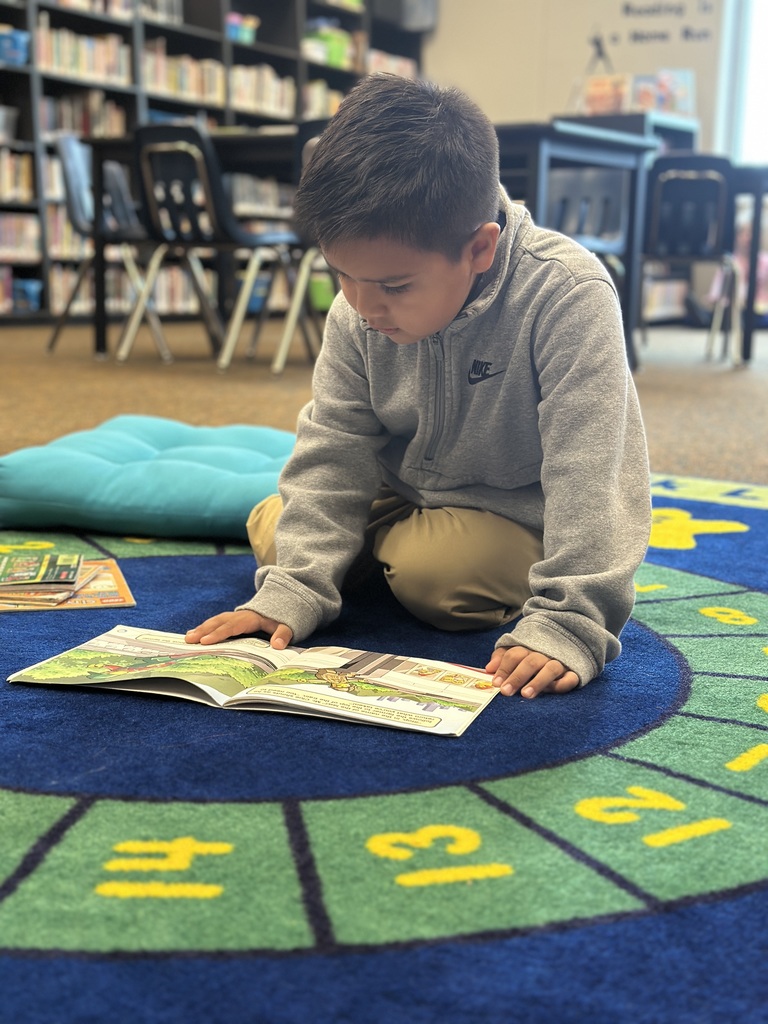 kindergarten student looking at a book