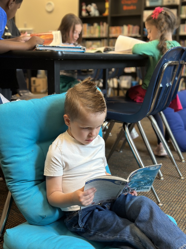 kindergarten student looking at a book