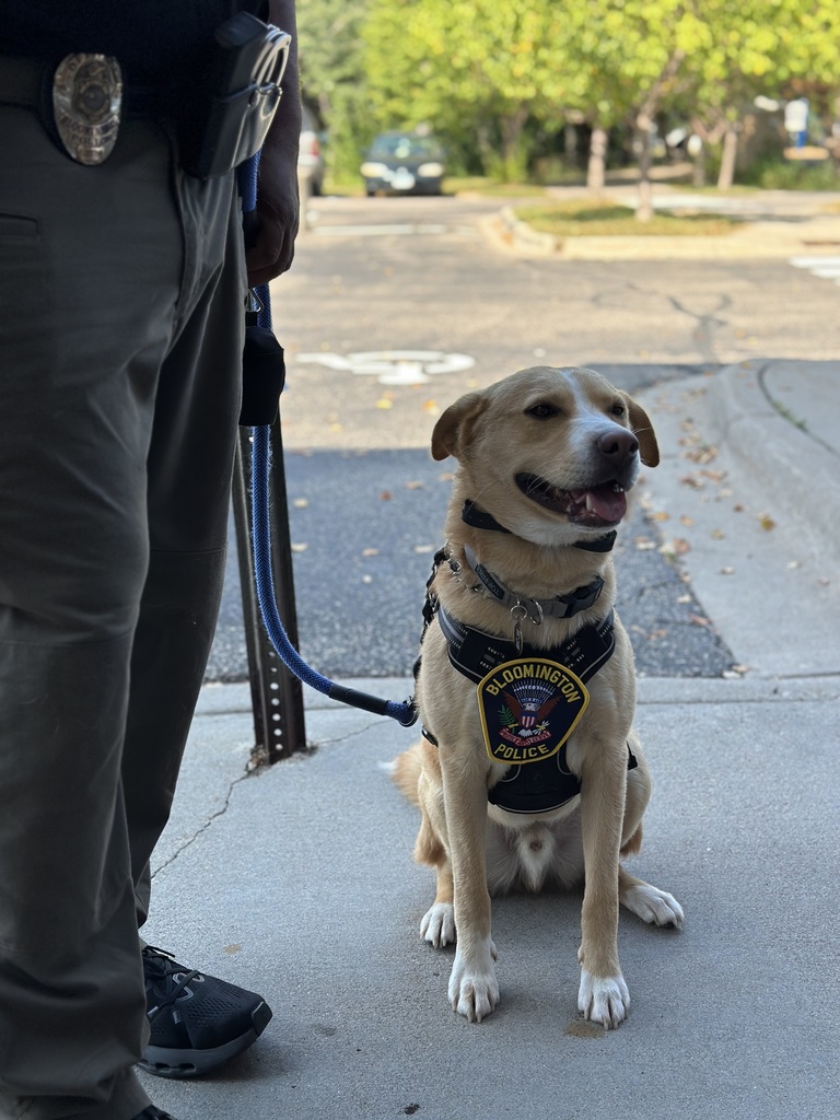pollice dog sitting on the sidewalk