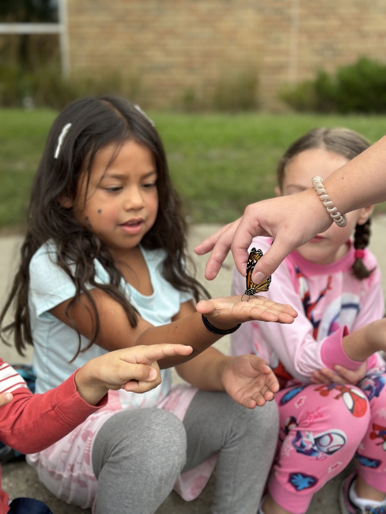 kindergarten students releasing butterflies