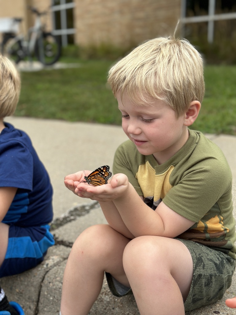 kindergarten students releasing butterflies