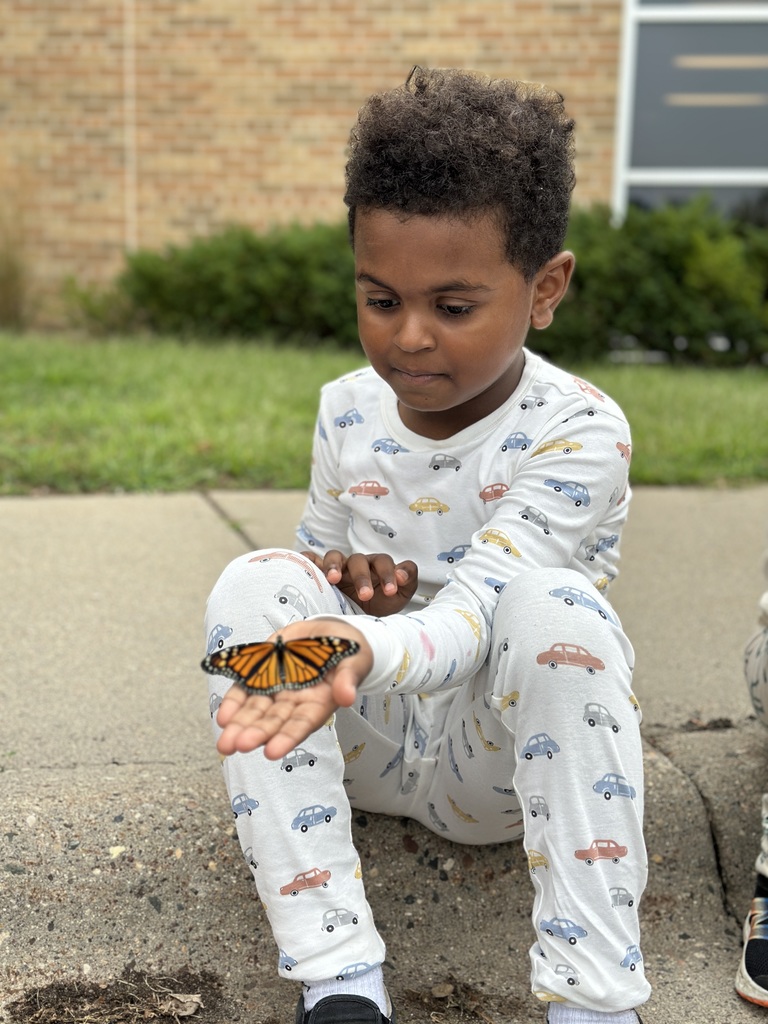 kindergarten students releasing butterflies