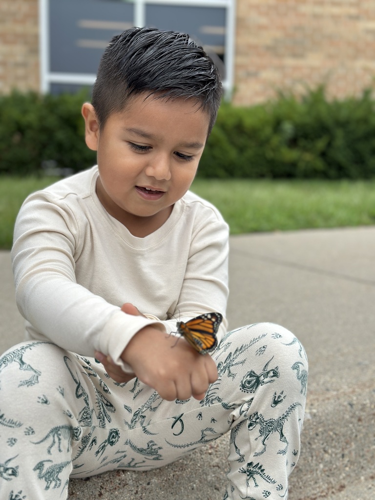 kindergarten students releasing butterflies