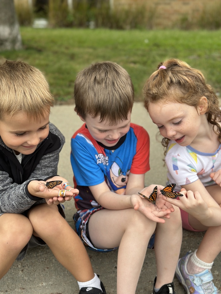 kindergarten students releasing butterflies