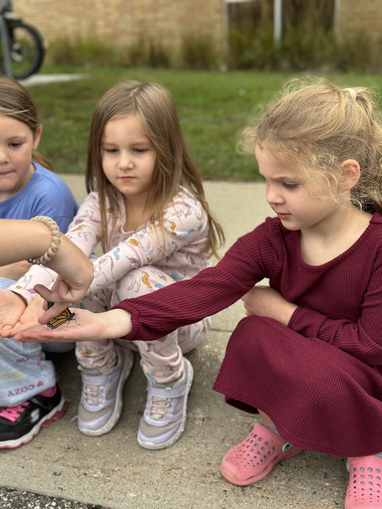kindergarten students releasing butterflies
