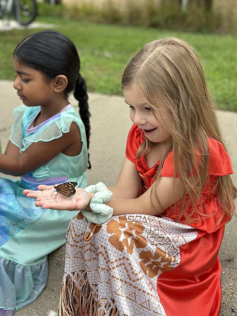 kindergarten students releasing butterflies
