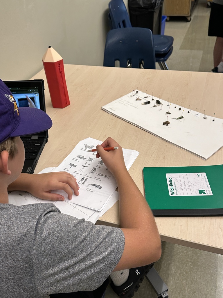 science students working on identifying bug species