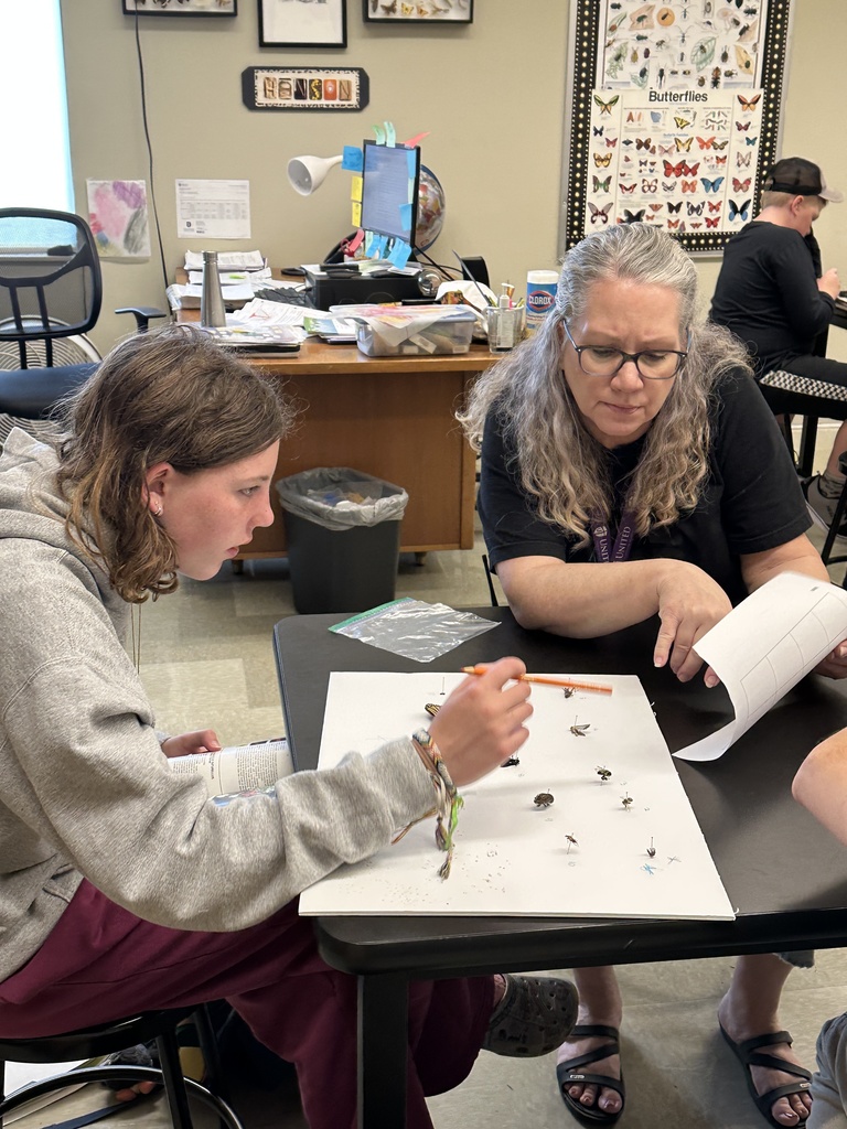 science teacher looking at a student's bug project