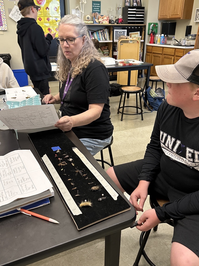 science teacher looking at a student's bug project