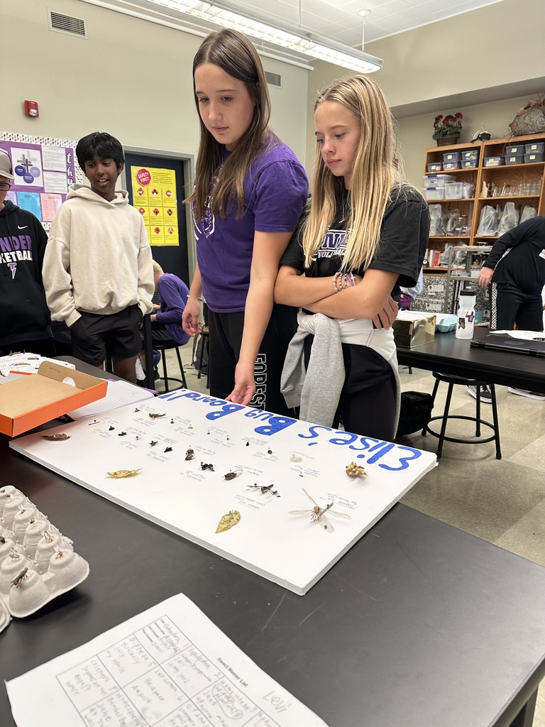 science students working on identifying bug species