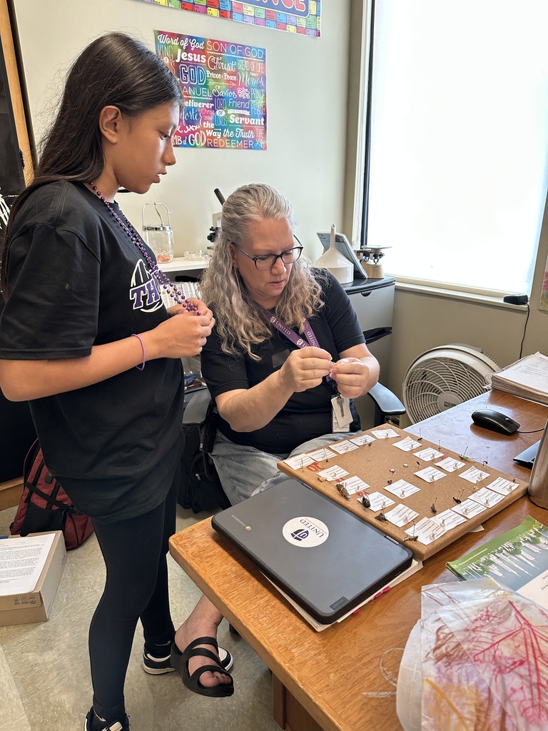 science teacher looking at a student's bug project